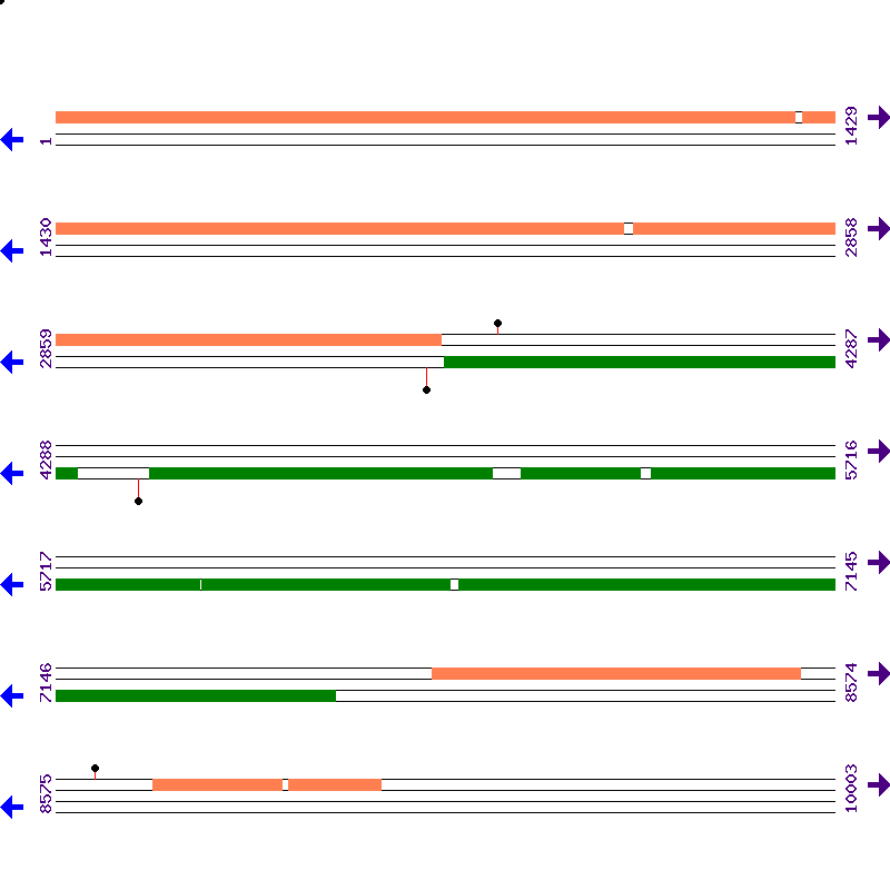 Genome View