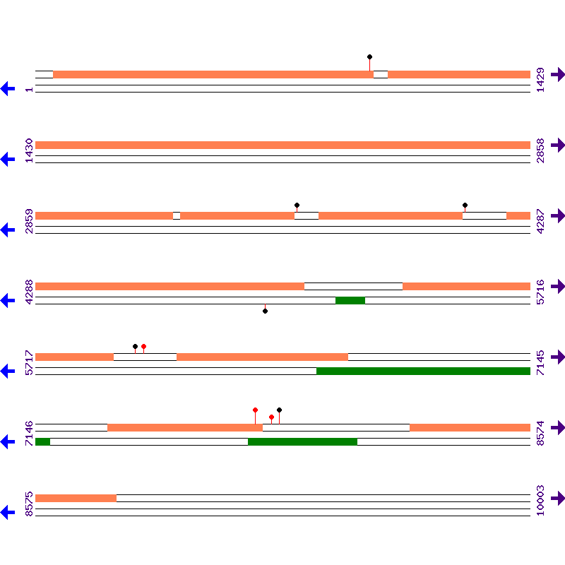 Genome View