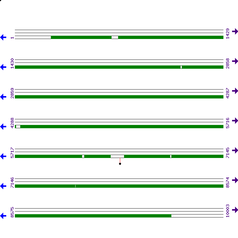 Genome View