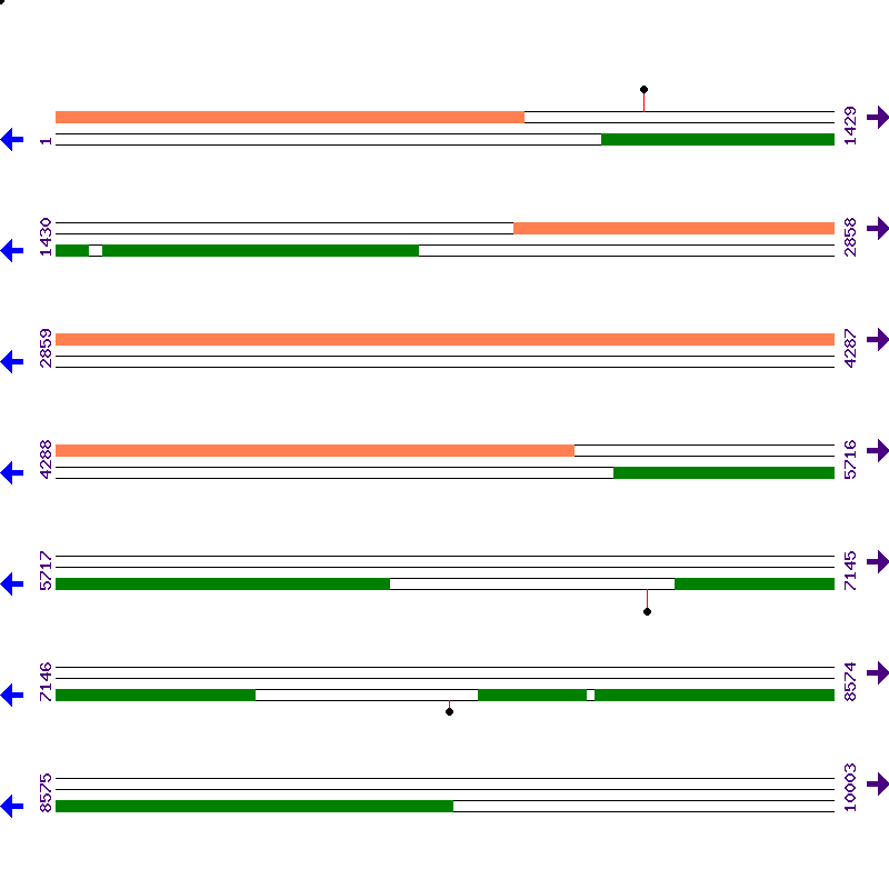 Genome View