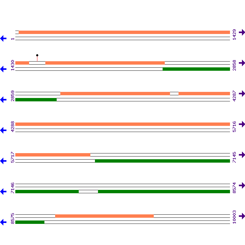 Genome View
