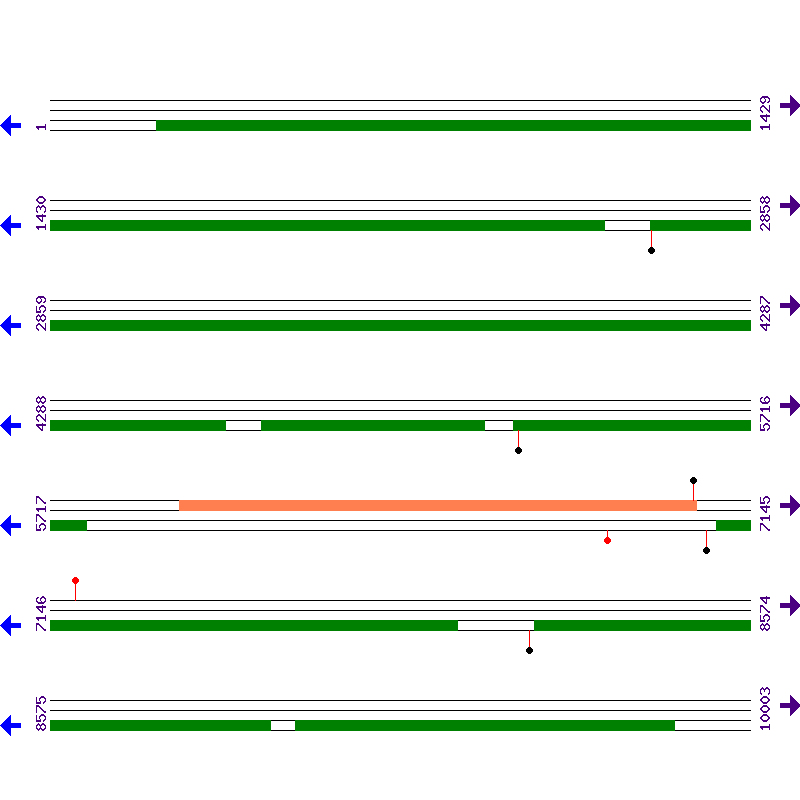 Genome View