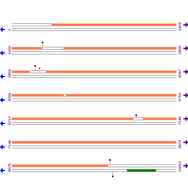 Genome View