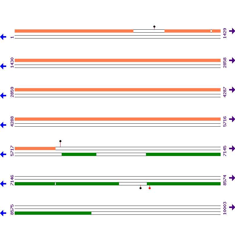 Genome View