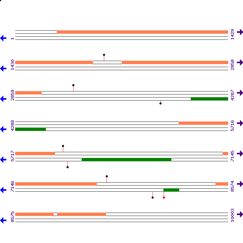 Genome View
