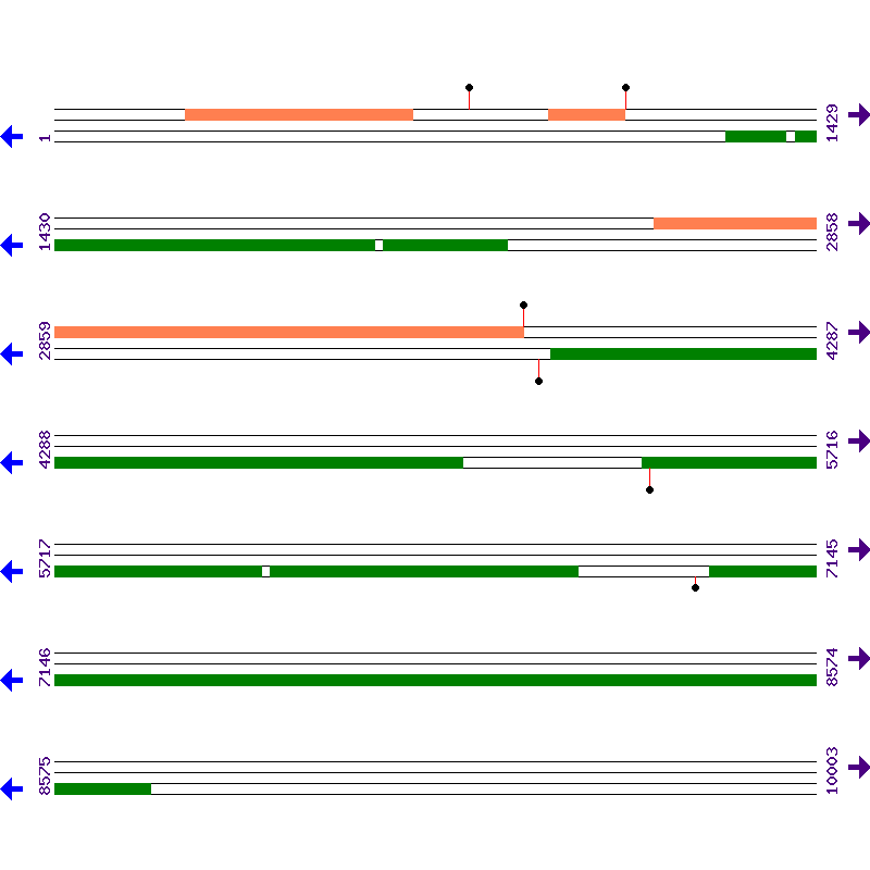 Genome View