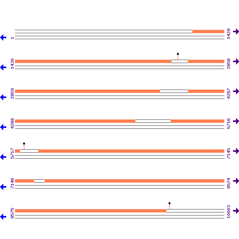 Genome View