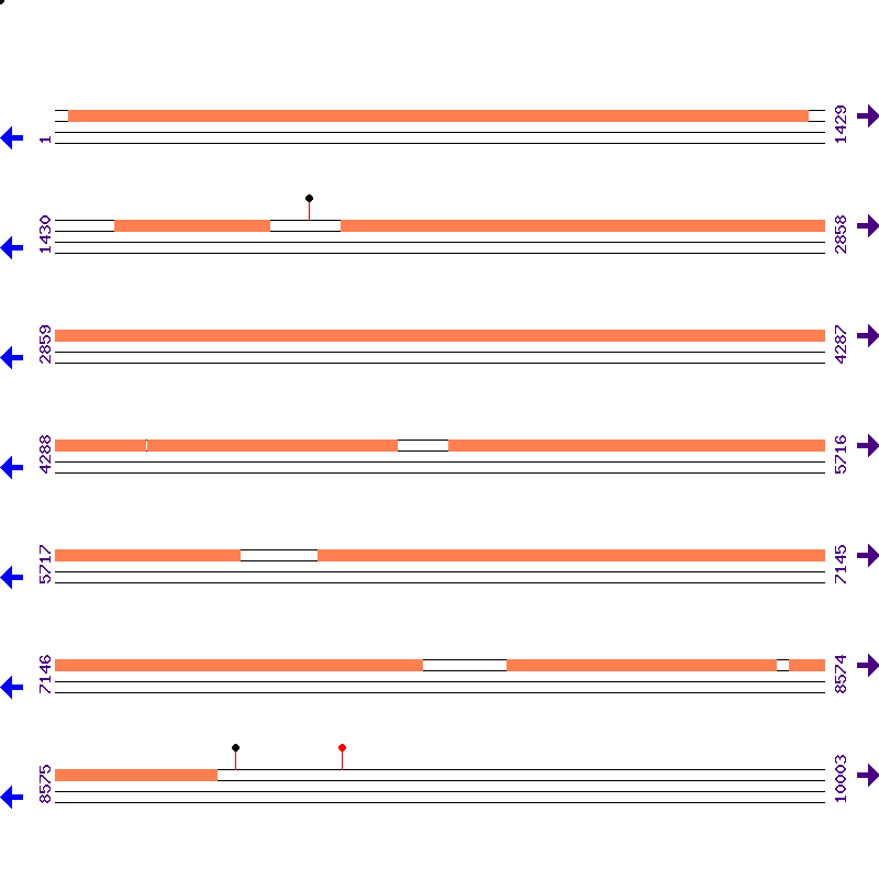 Genome View