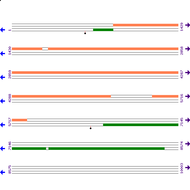 Genome View
