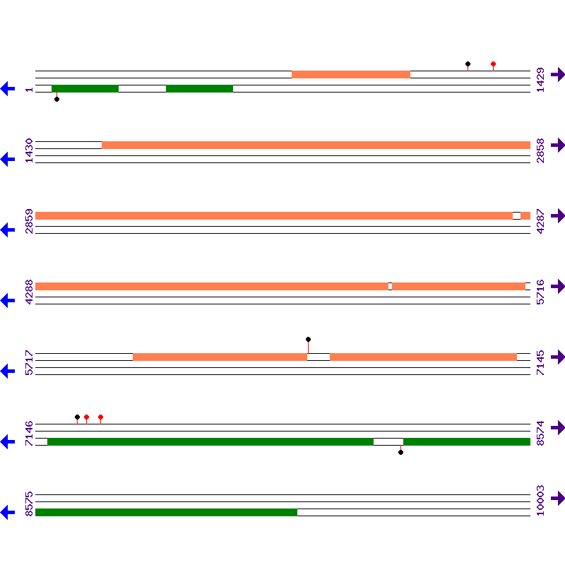 Genome View