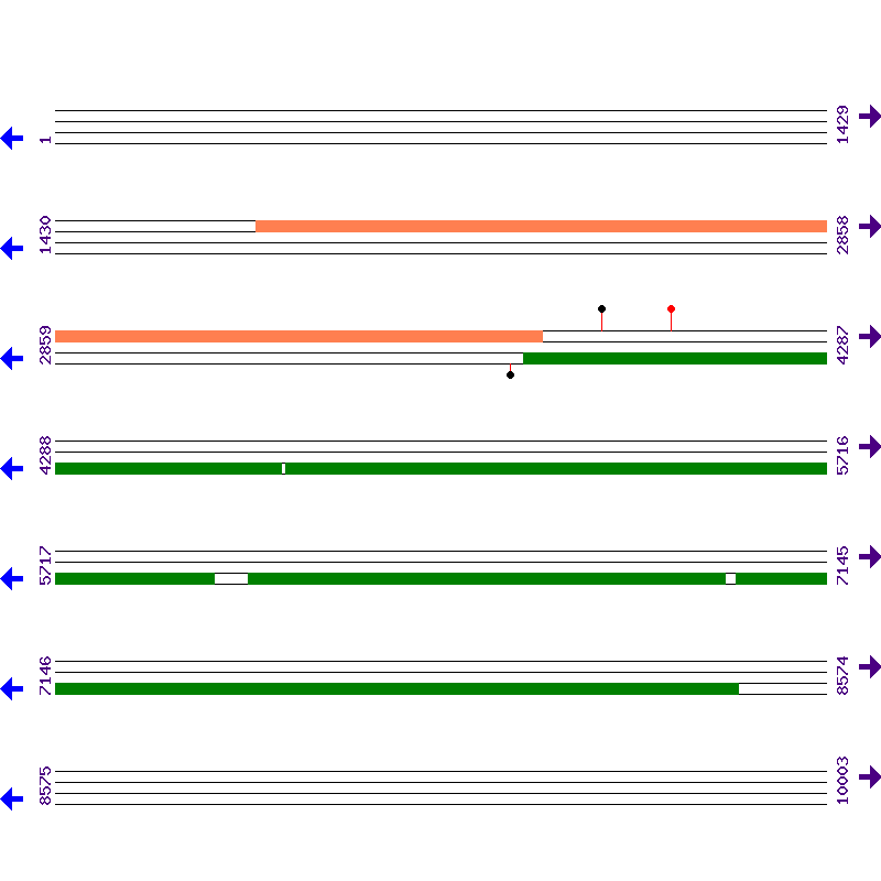 Genome View