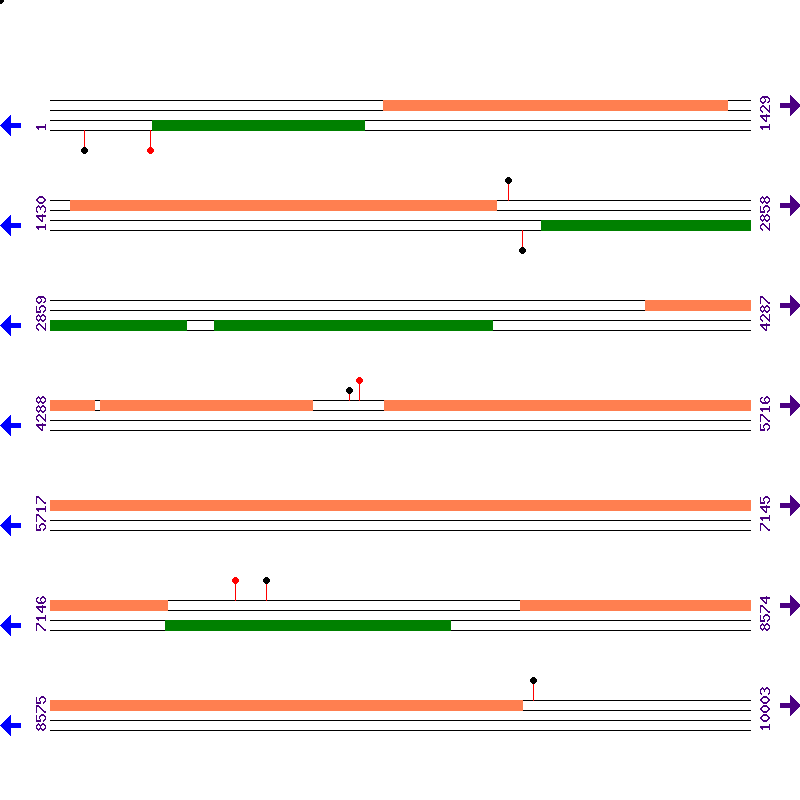 Genome View