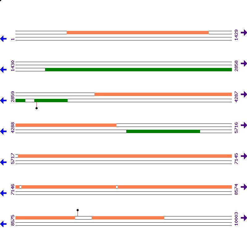 Genome View