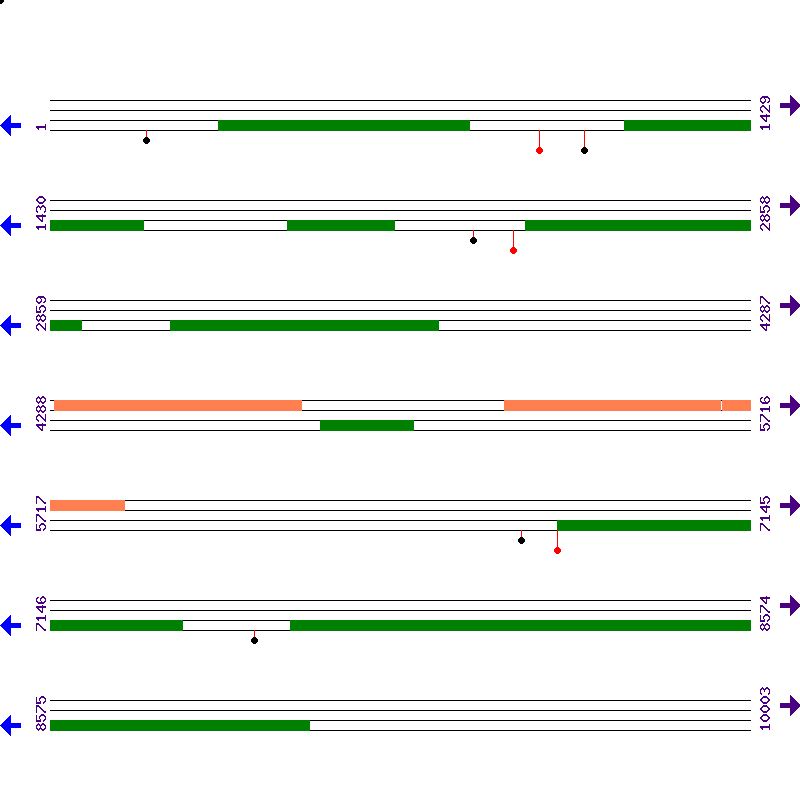 Genome View