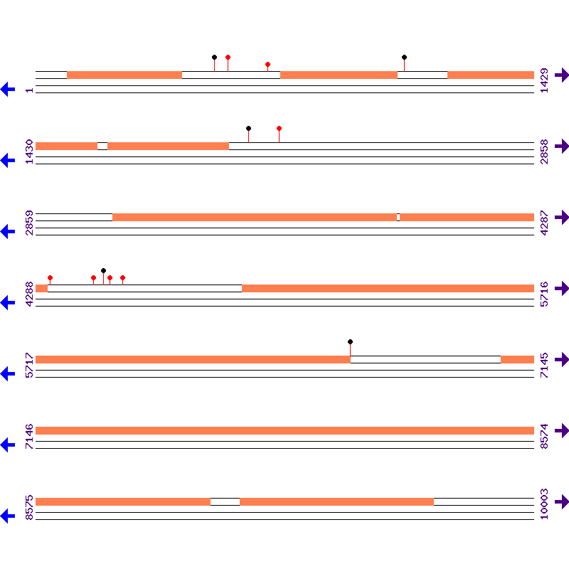 Genome View