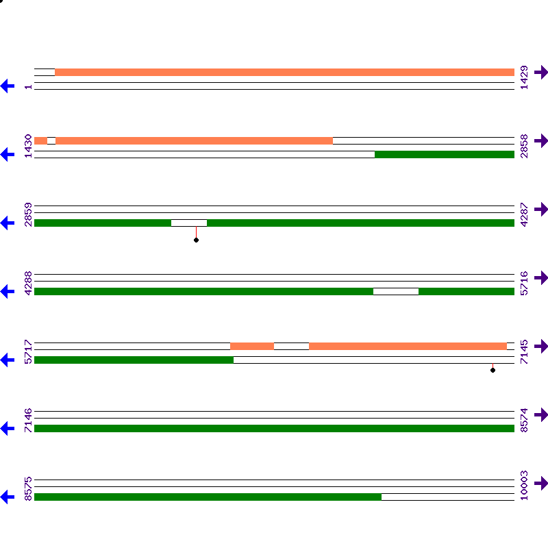 Genome View