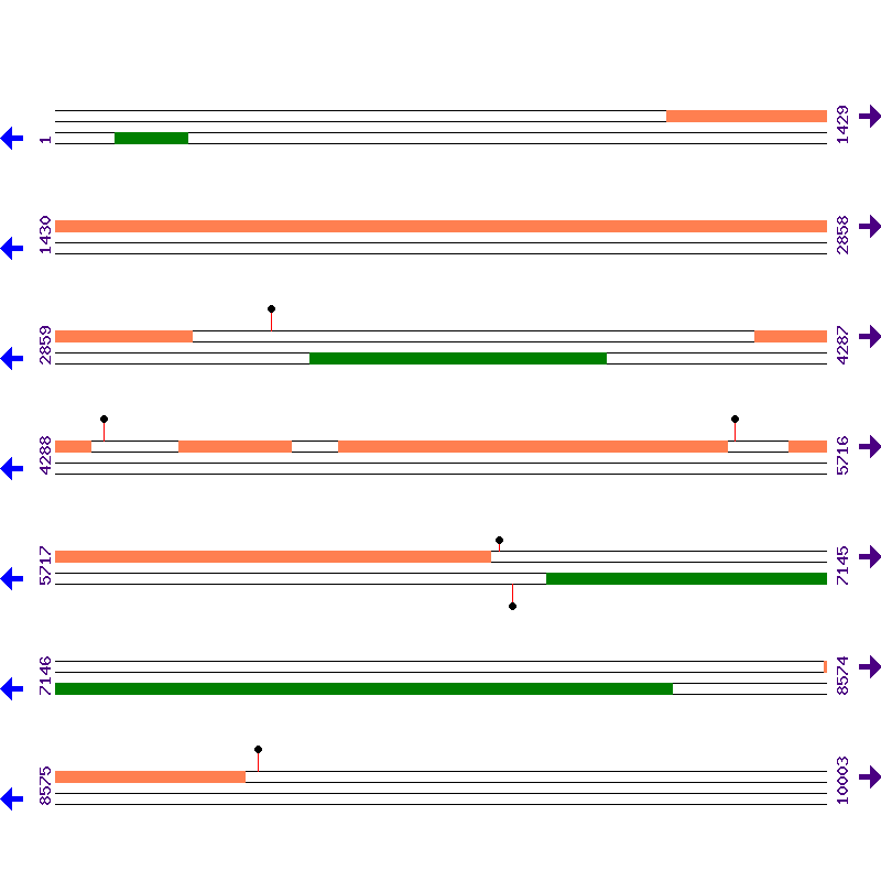Genome View