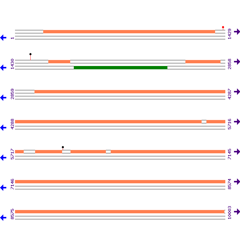 Genome View