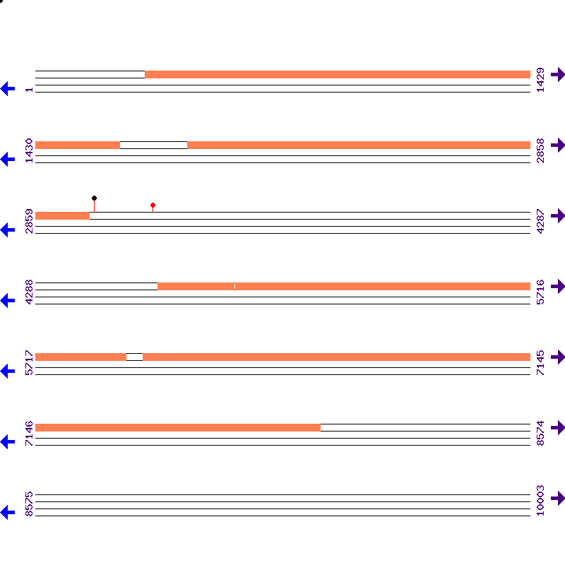 Genome View
