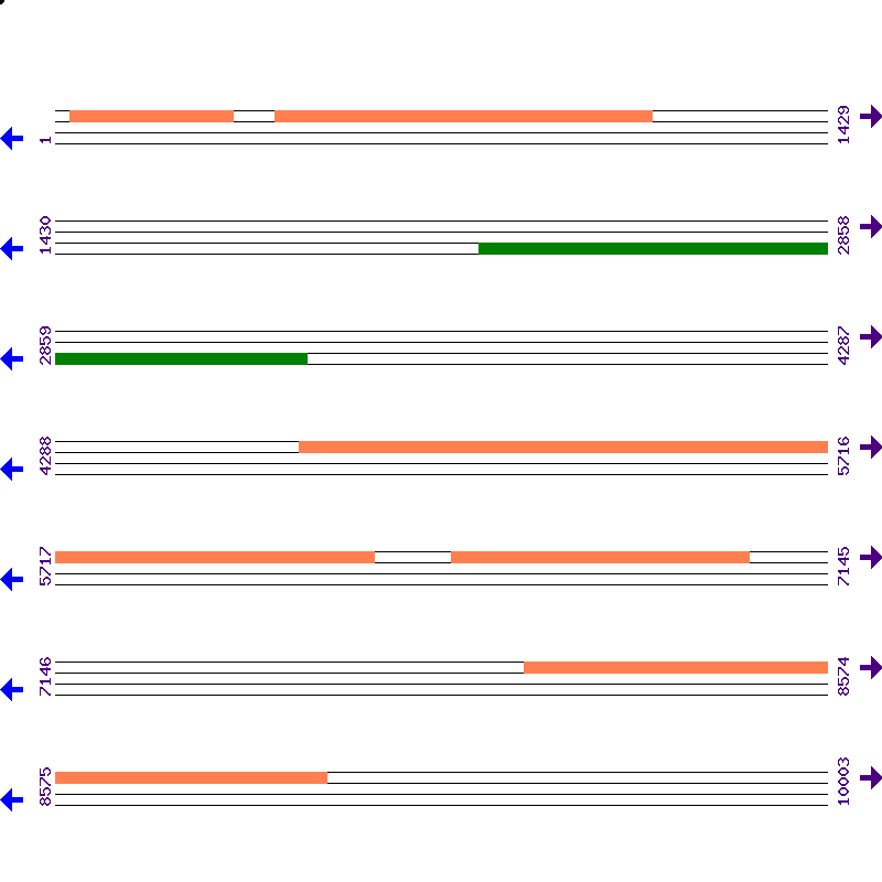 Genome View