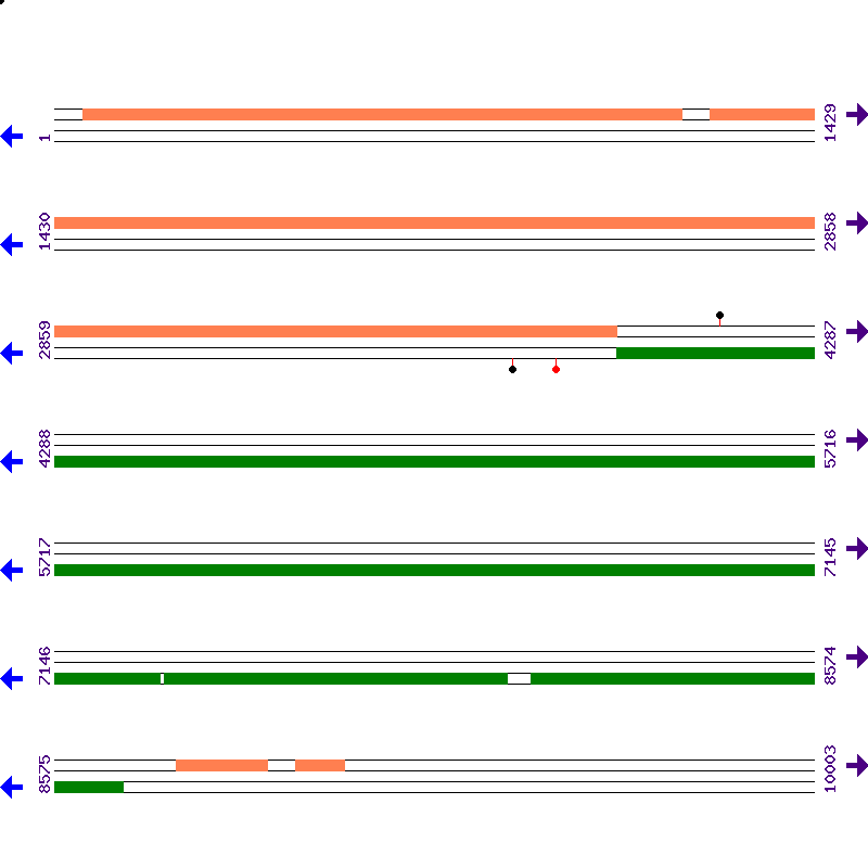 Genome View