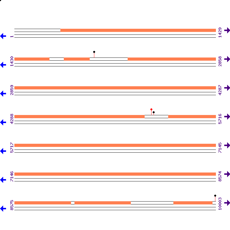 Genome View