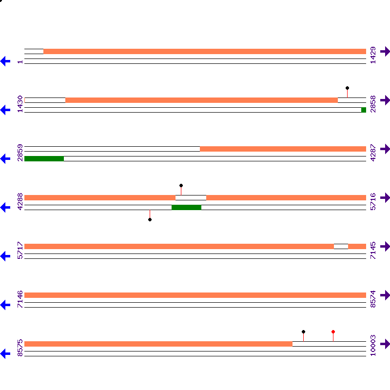 Genome View