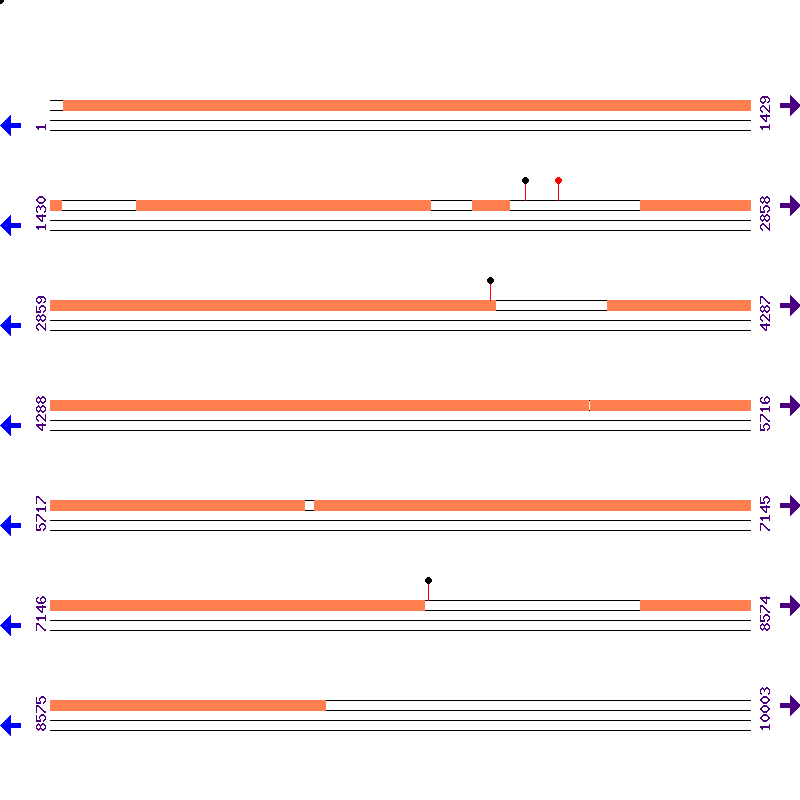 Genome View