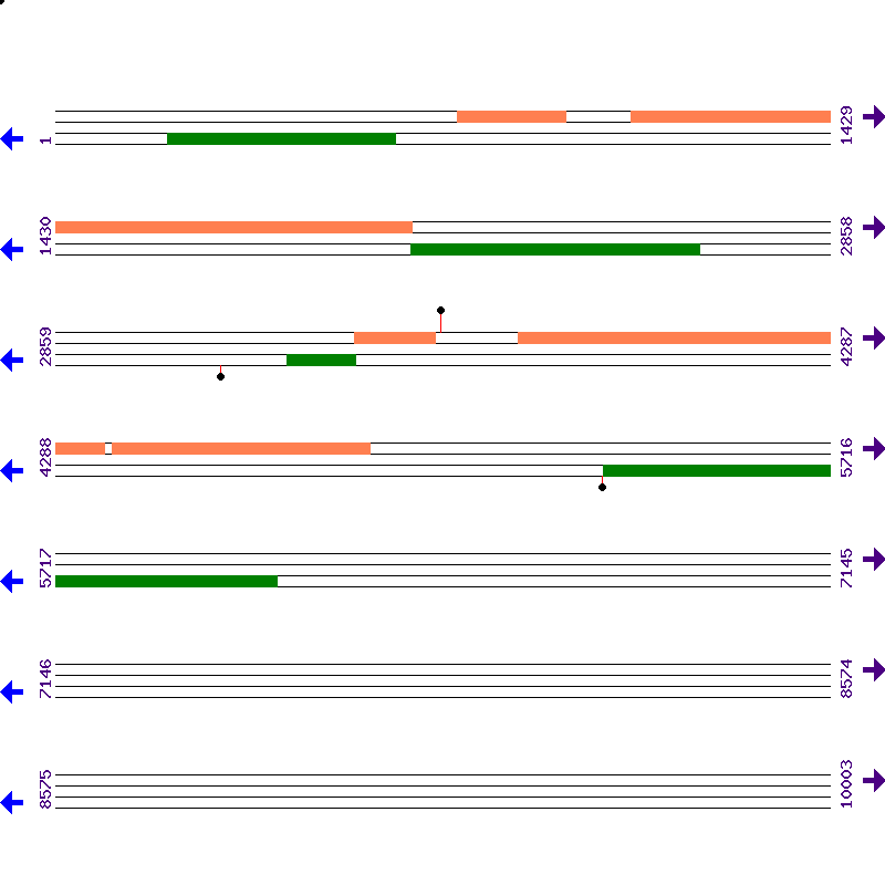 Genome View