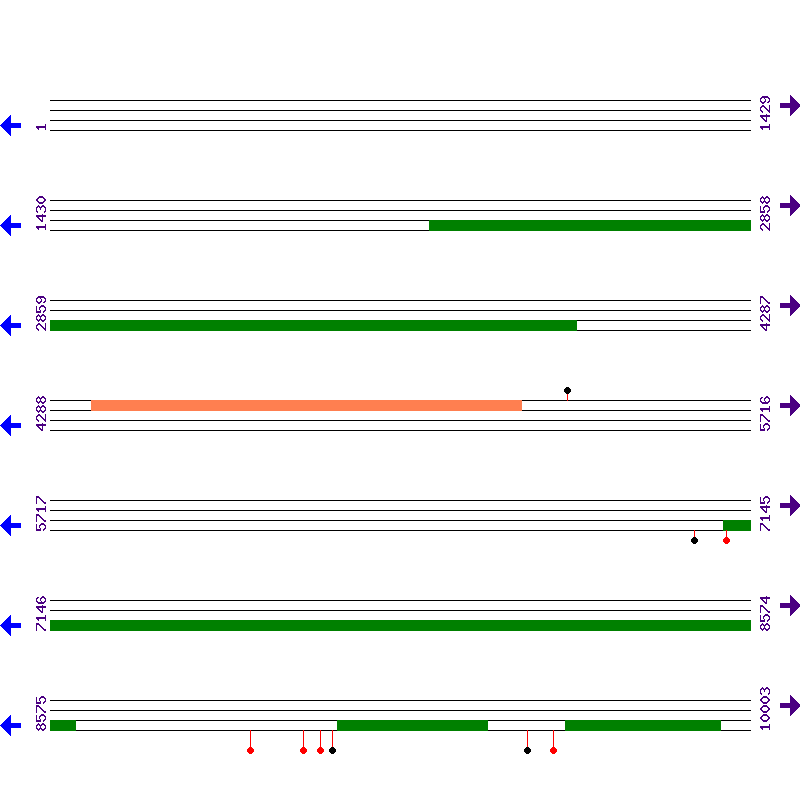 Genome View