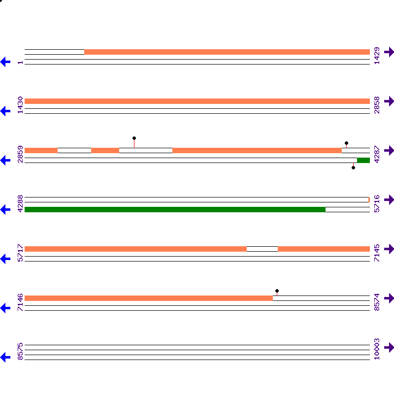 Genome View