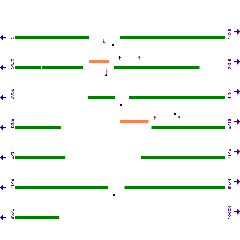 Genome View