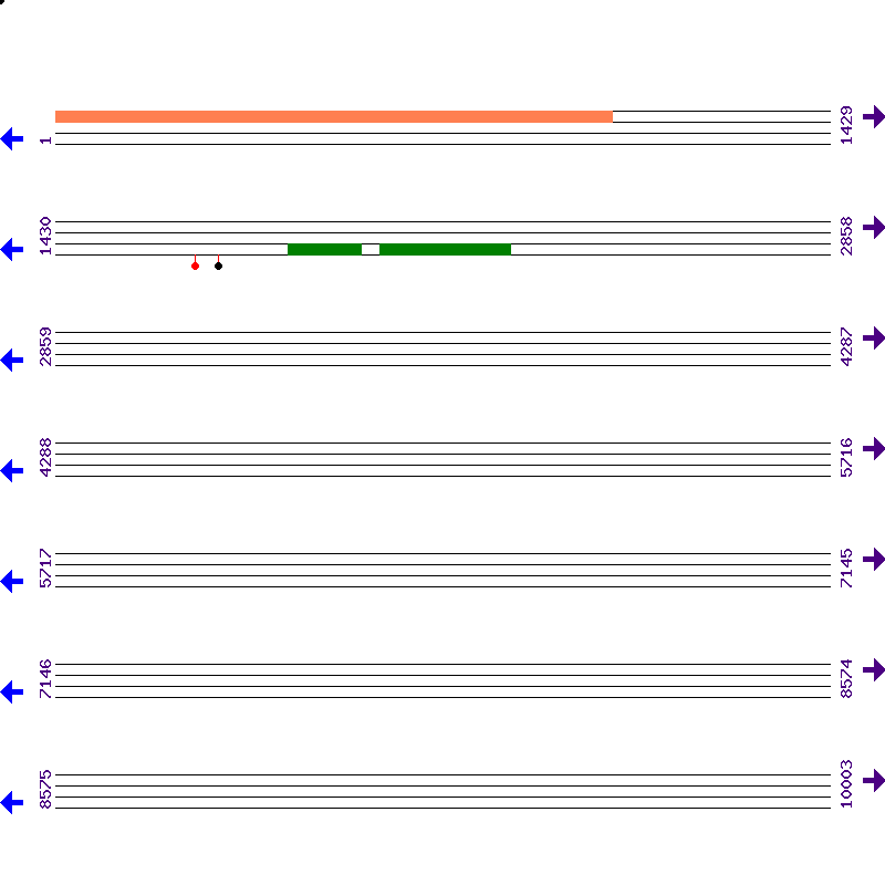Genome View