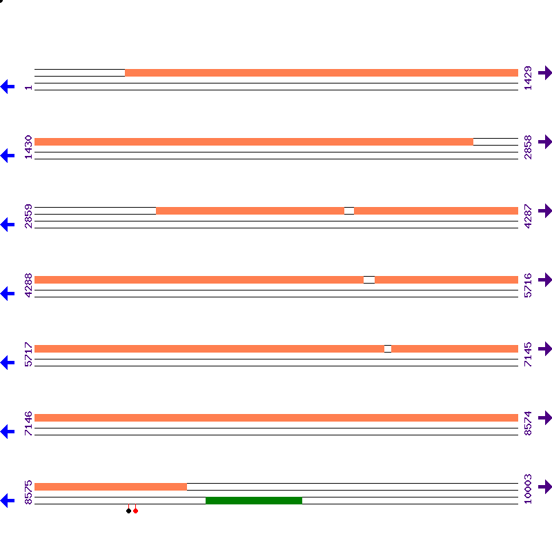 Genome View