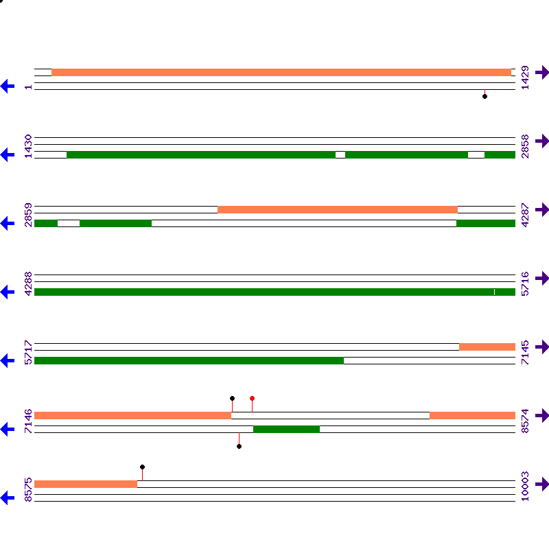Genome View