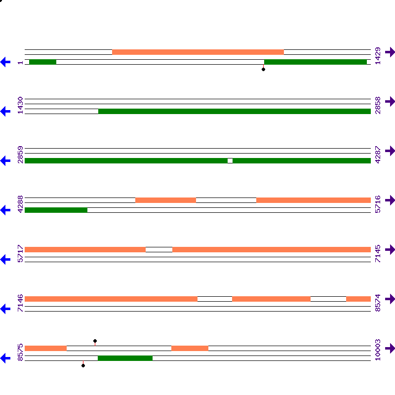 Genome View