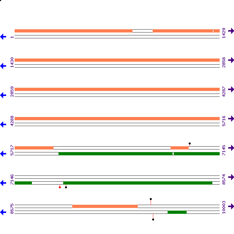 Genome View