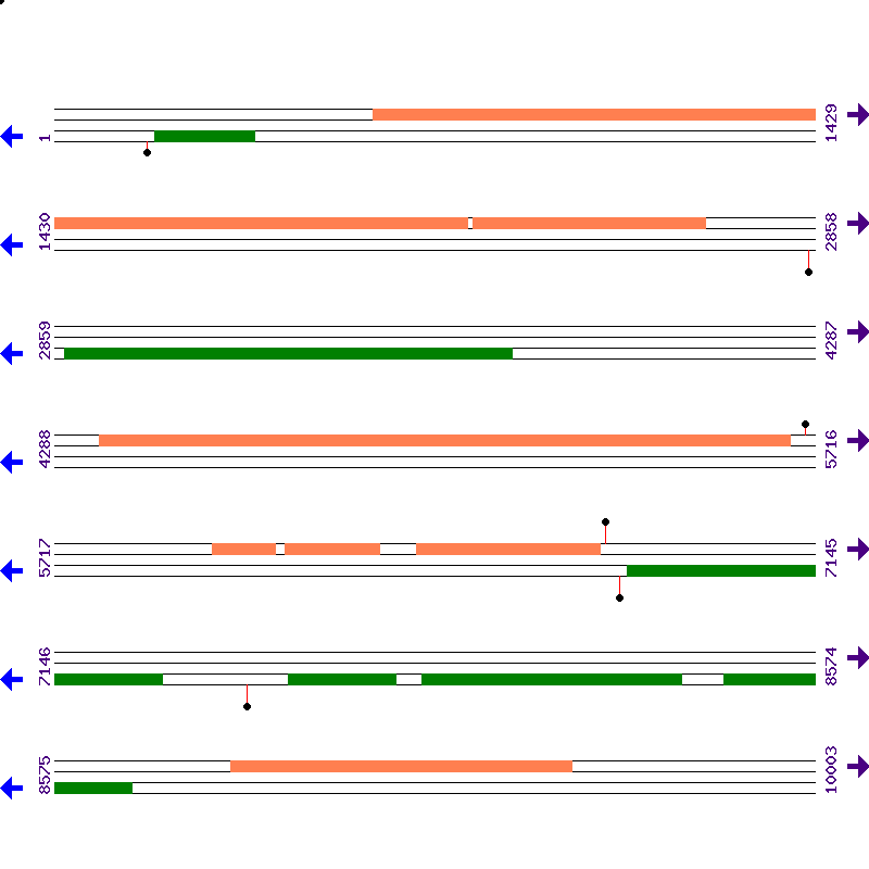 Genome View