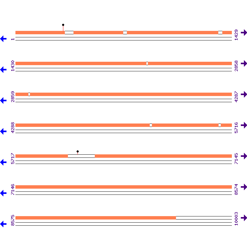 Genome View