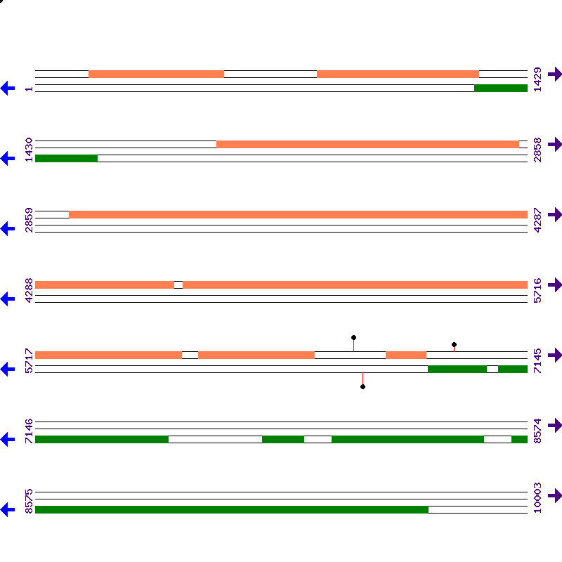 Genome View