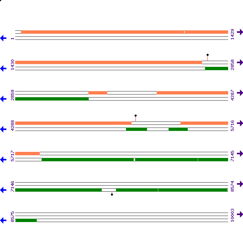 Genome View