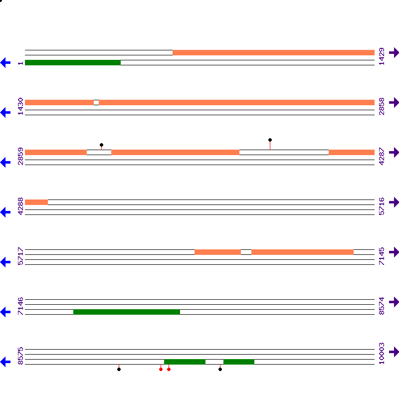 Genome View