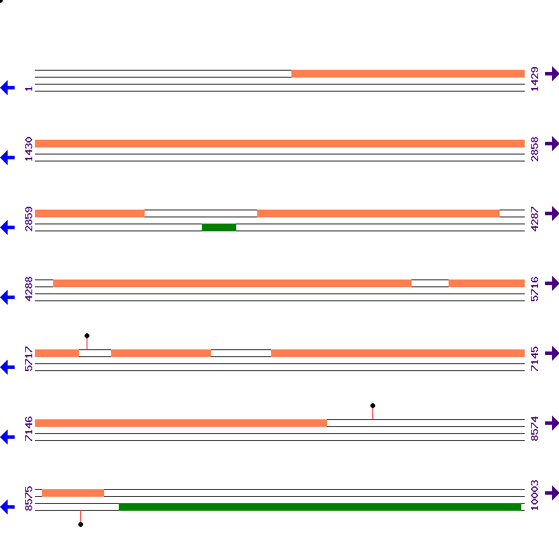 Genome View