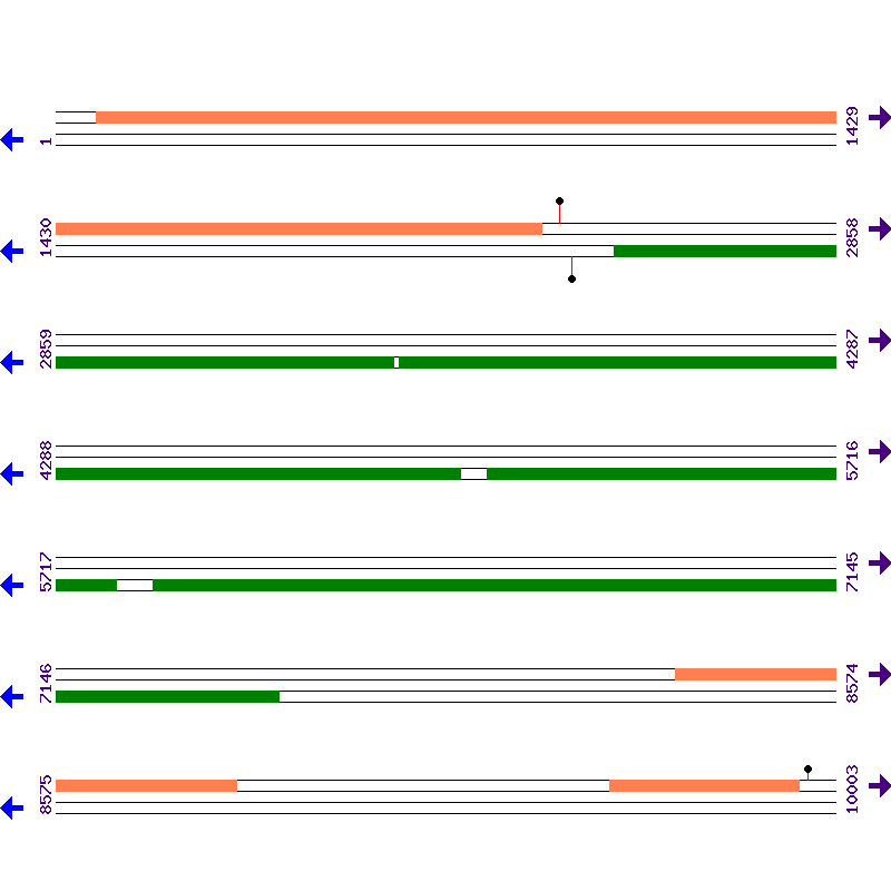 Genome View