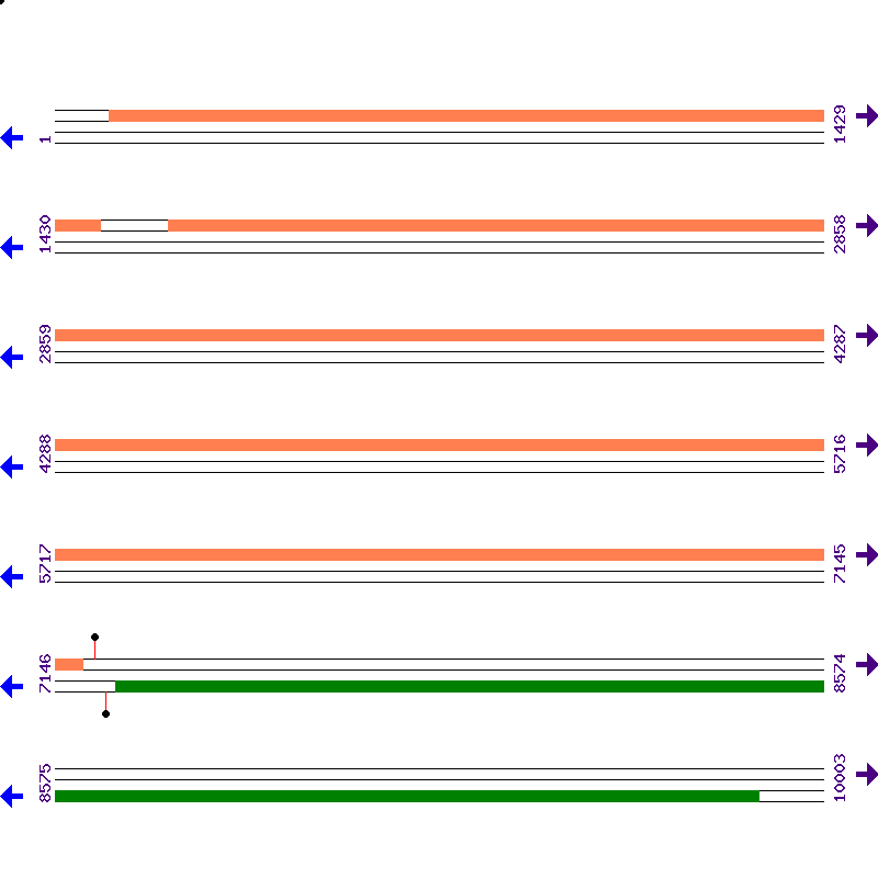 Genome View