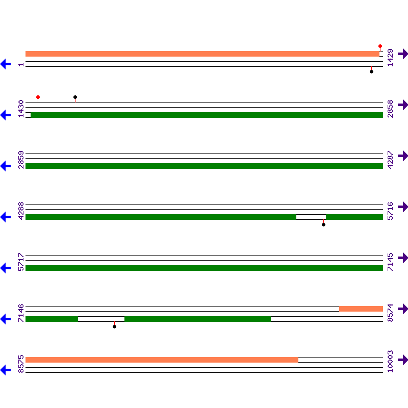 Genome View