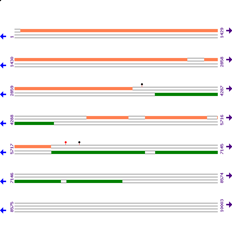 Genome View