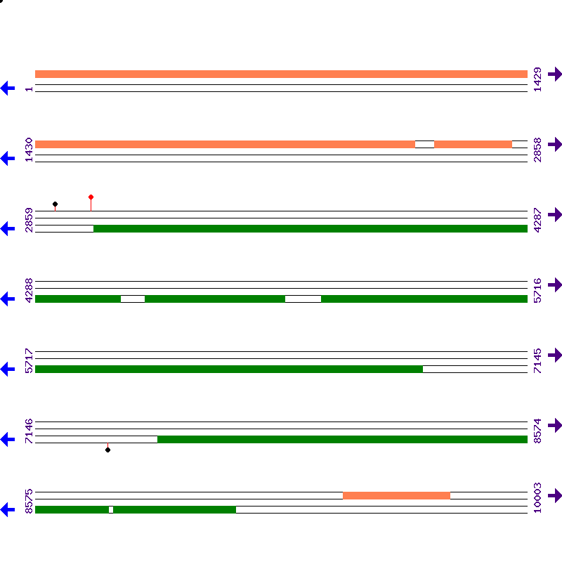 Genome View
