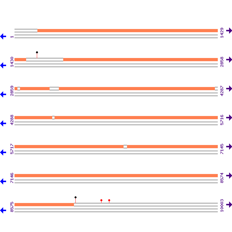 Genome View