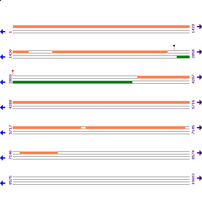 Genome View